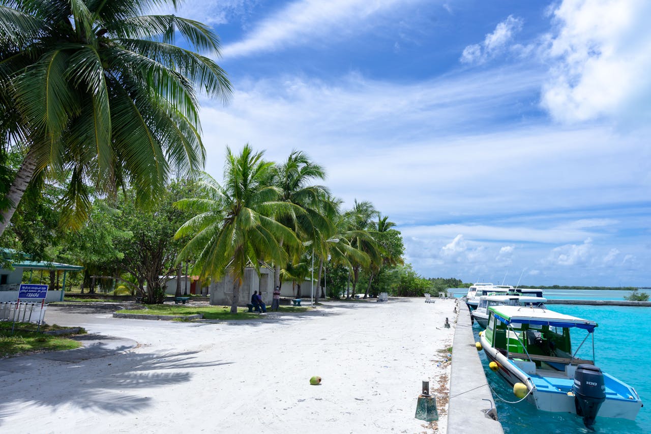 Free stock photo of alaska, background, bahamas